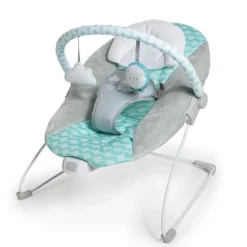 Ingenuity Bouncity Bounce Vibrating Deluxe Bouncer - Goji