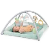 Ingenuity Calm Springs Plush Activity Gym - Chic Boutique