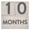 Pearhead Milestone Blocks
