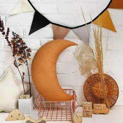 The Butter Flying Moon Pillow