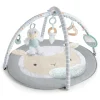 Ingenuity Sheppys Spot Plush Activity Gym - Corrie